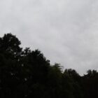 Severe weather, cloudy sky with trees in the corner
