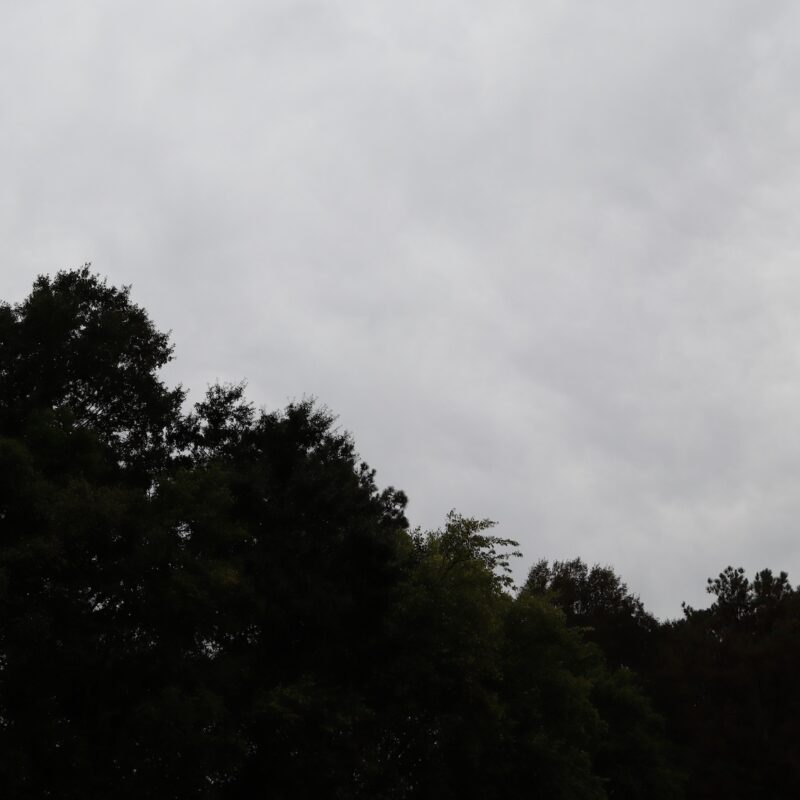 Severe weather, cloudy sky with trees in the corner